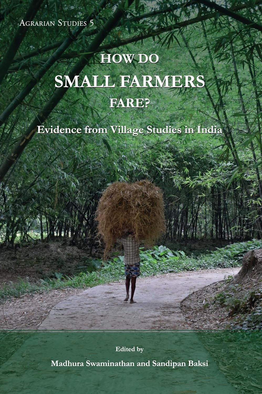 How Do Small Farmers Fare?: Evidence From Village Studies in India