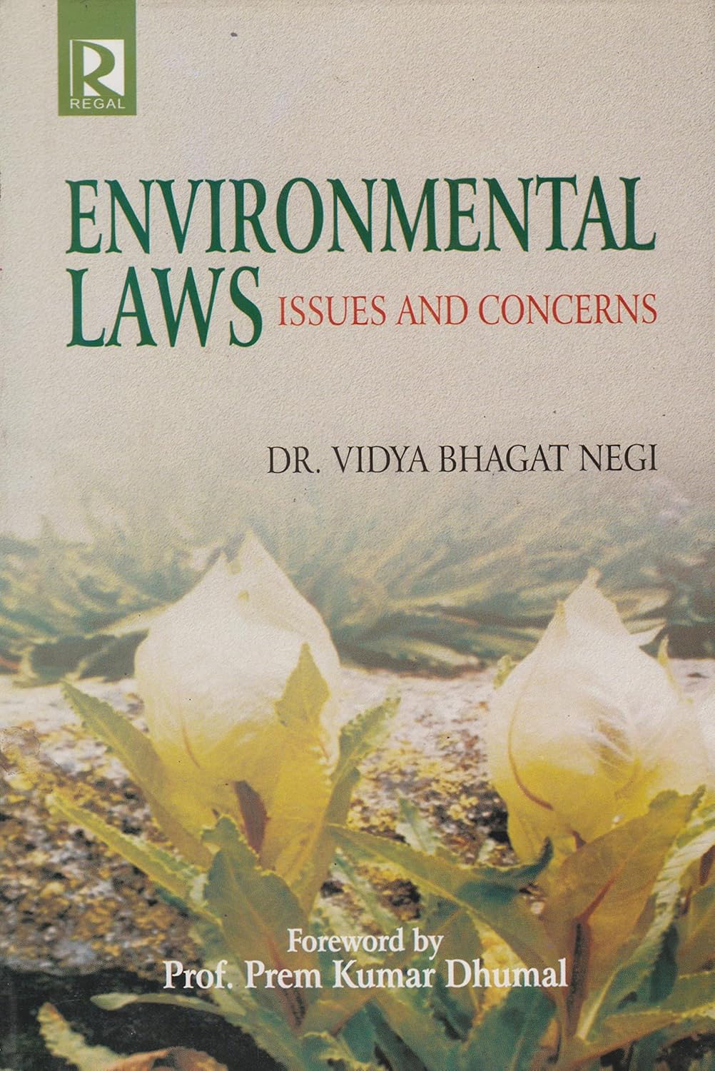 Environmental Laws: Issues and Concerns