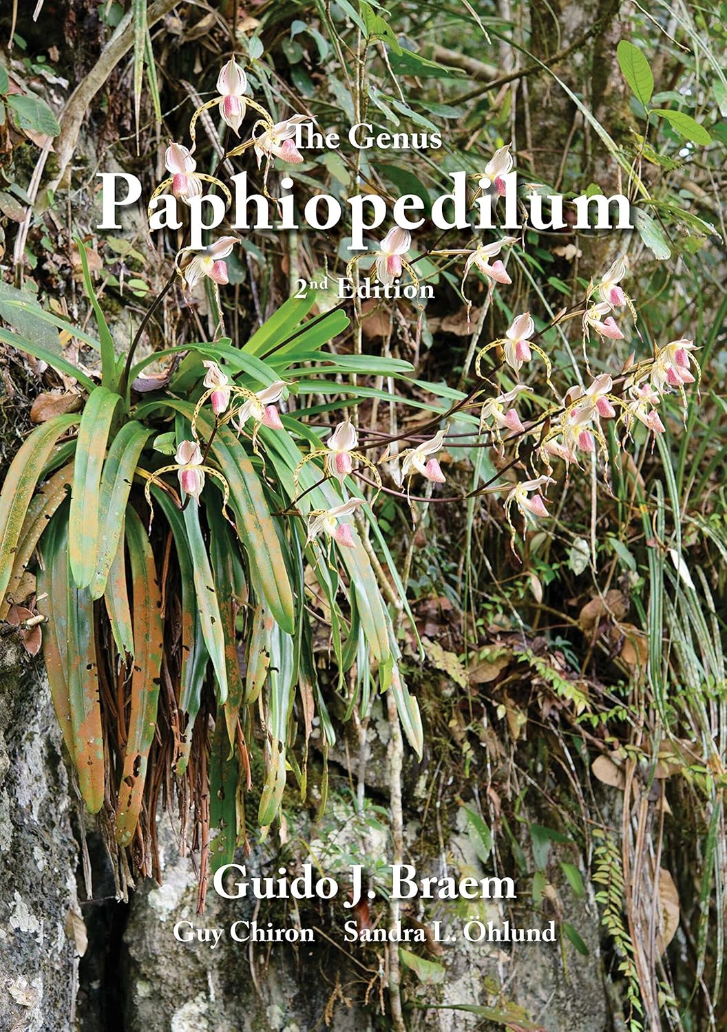 Genus Paphiopedilum 2nd ed