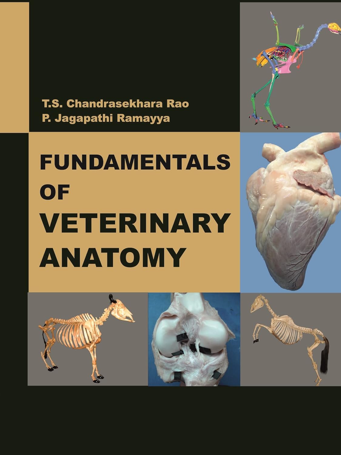 Fundamentals of Veterinary Anatomy
