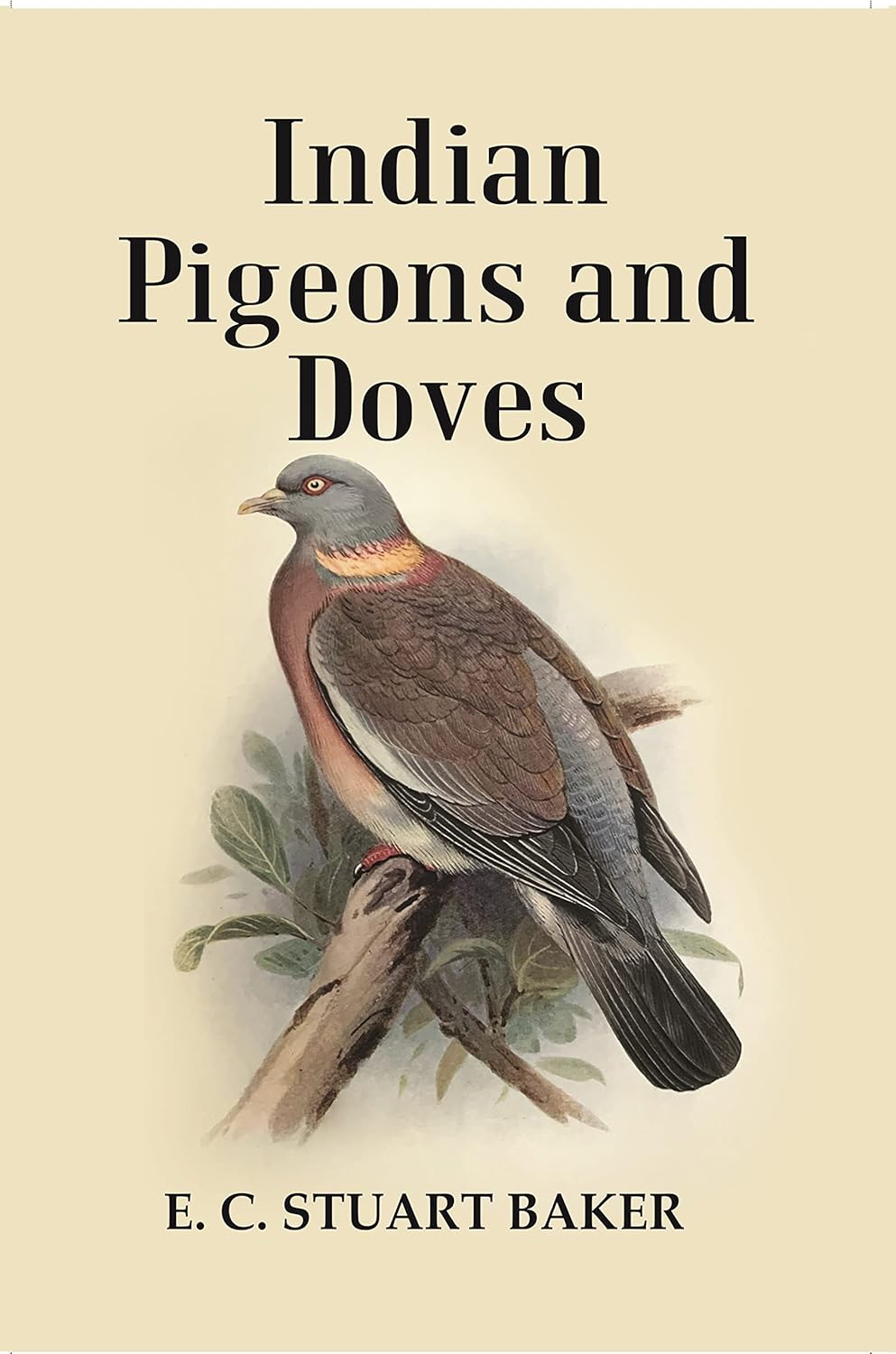 Indian Pigeons and Doves - Hardcover