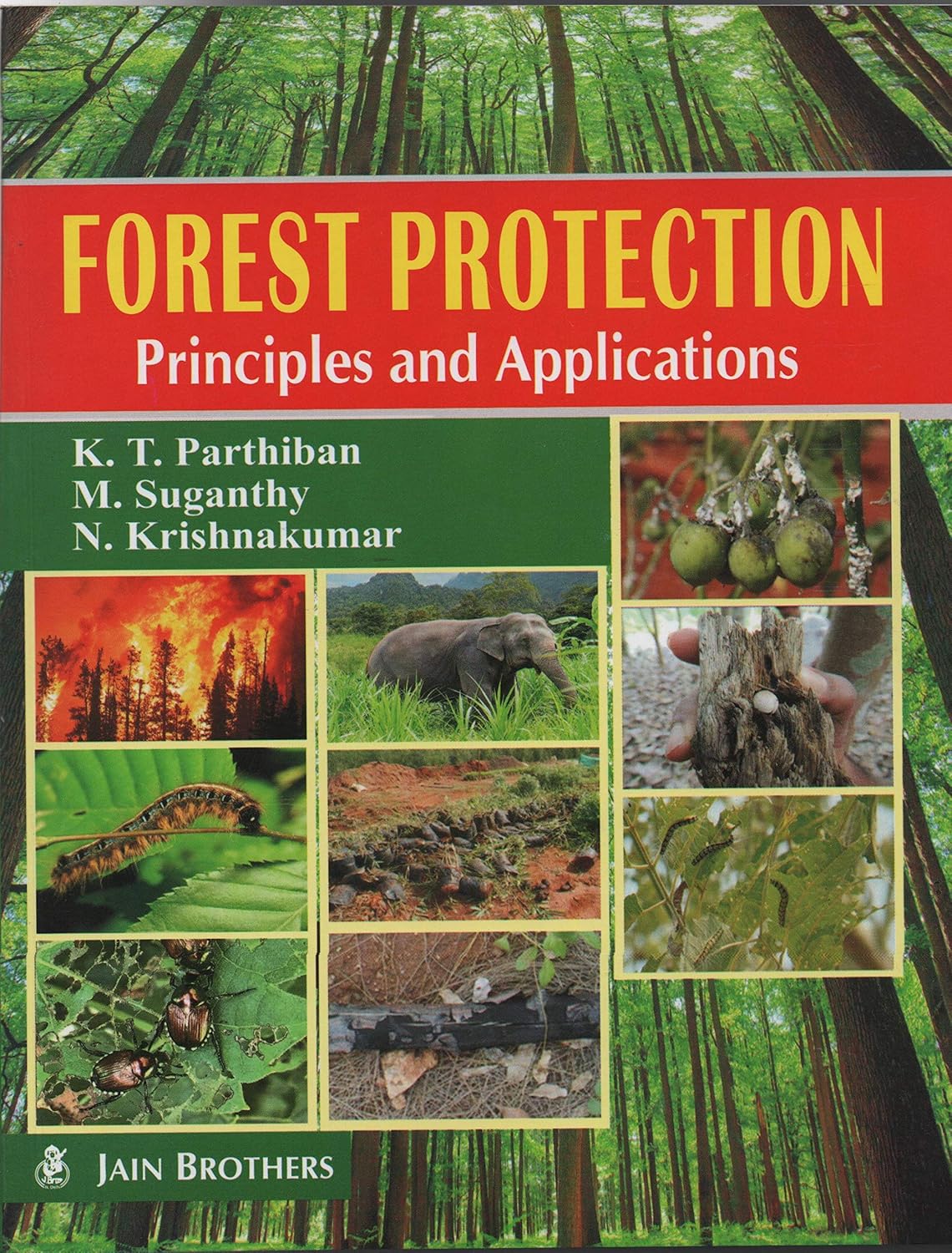 Forest Protection: Principles and Applications (PB)