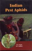 Indian Pest Aphids