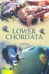 Lower Chordata