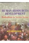 Human Resource Development: Radicalism in the Service Sector