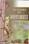 Anatomy of Invertebrates