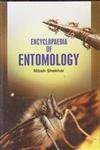 Encyclopedia of Entomology  - Hardcover