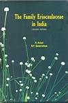 Family Eriocaulaceae in India Revised edn