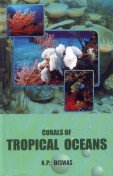 Corals of Tropical Oceans