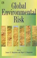 Global Environmental Risk  -Hardcover