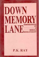 Down Memory Lane  - Paperback