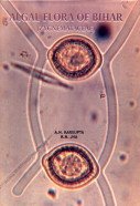 Algal Flora of Bihar: Zygnemataceae