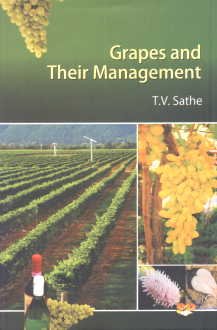 Grapes and their Management