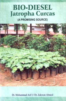 Biodiesel Jatropha Curcas (A Promising Source)