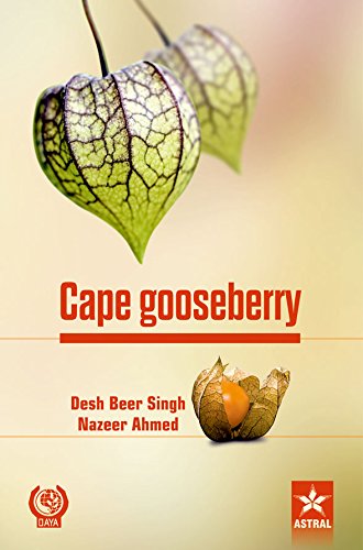 Cape Gooseberry