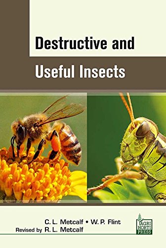 Destructive and Useful Insect