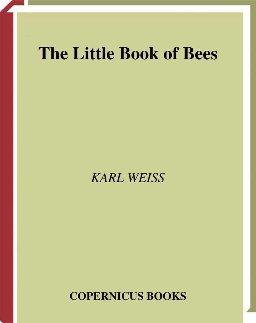 LITTLE BOOK OF BEES