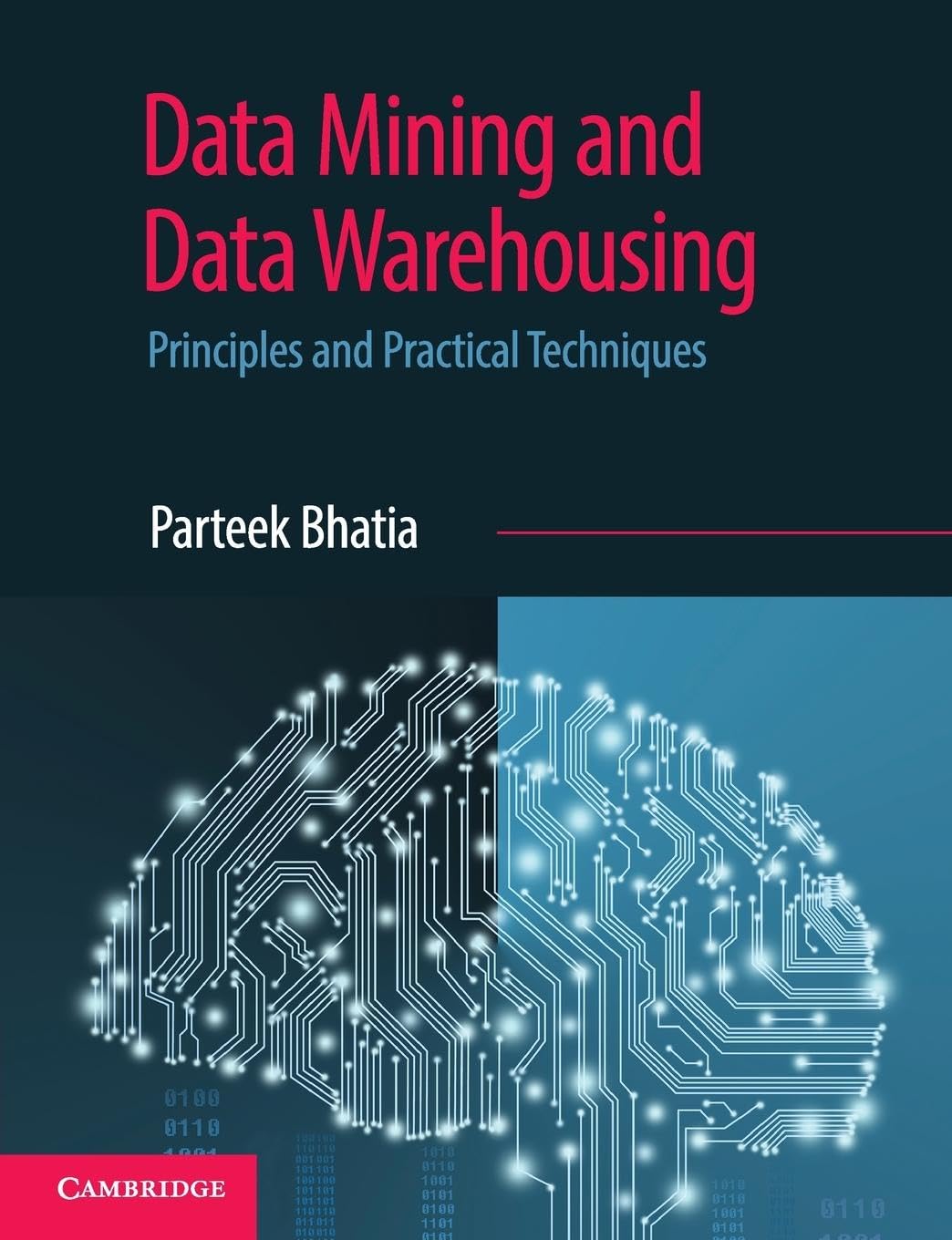 DATA MINING AND DATA WAREHOUSING : PRINCIPLES AND PRACTICAL TECHNIQUES