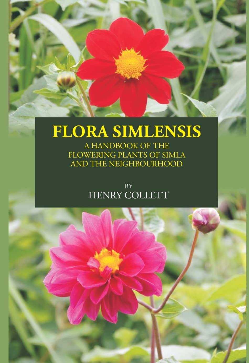 FLORA SIMLENSIS: A HANDBOOK OF THE FLOWERING PLANTS OF SIMLA AND THE NEIGHBOURHOOD  - Hardcover
