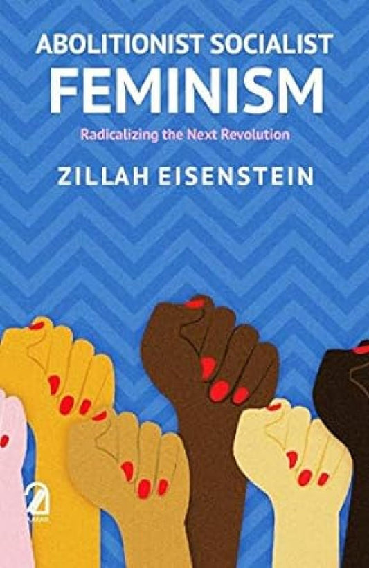 Abolitionist Socialist Feminism: Radicalizing the Next Revolution