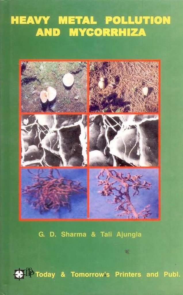 Heavy Metal Pollution and Mycorrhiza