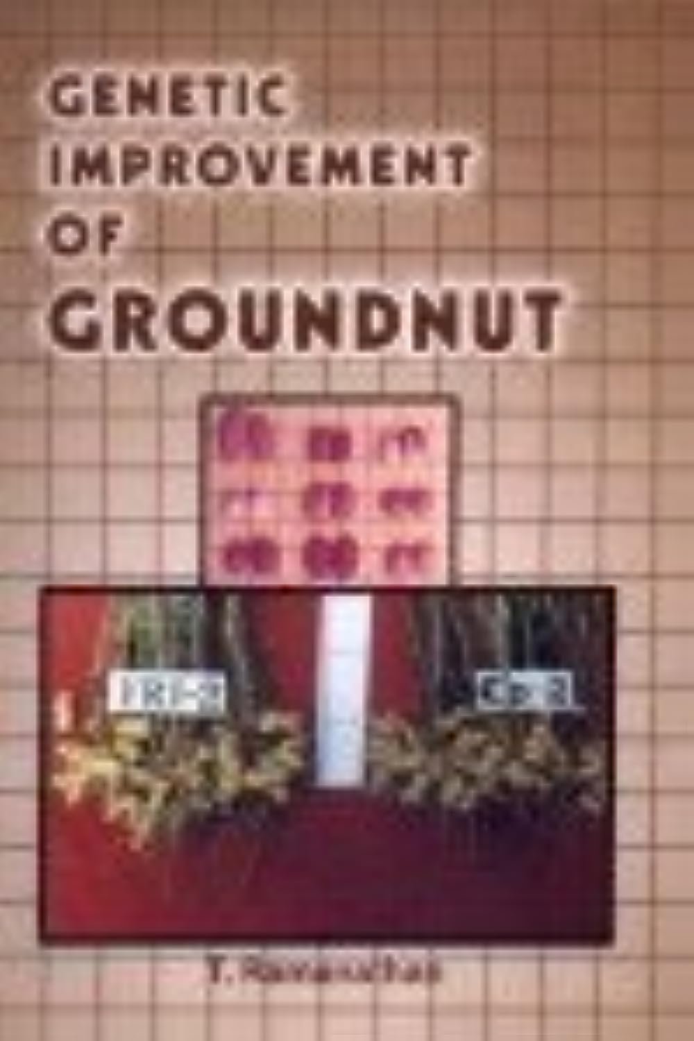 Genetic Improvement of Groundnut