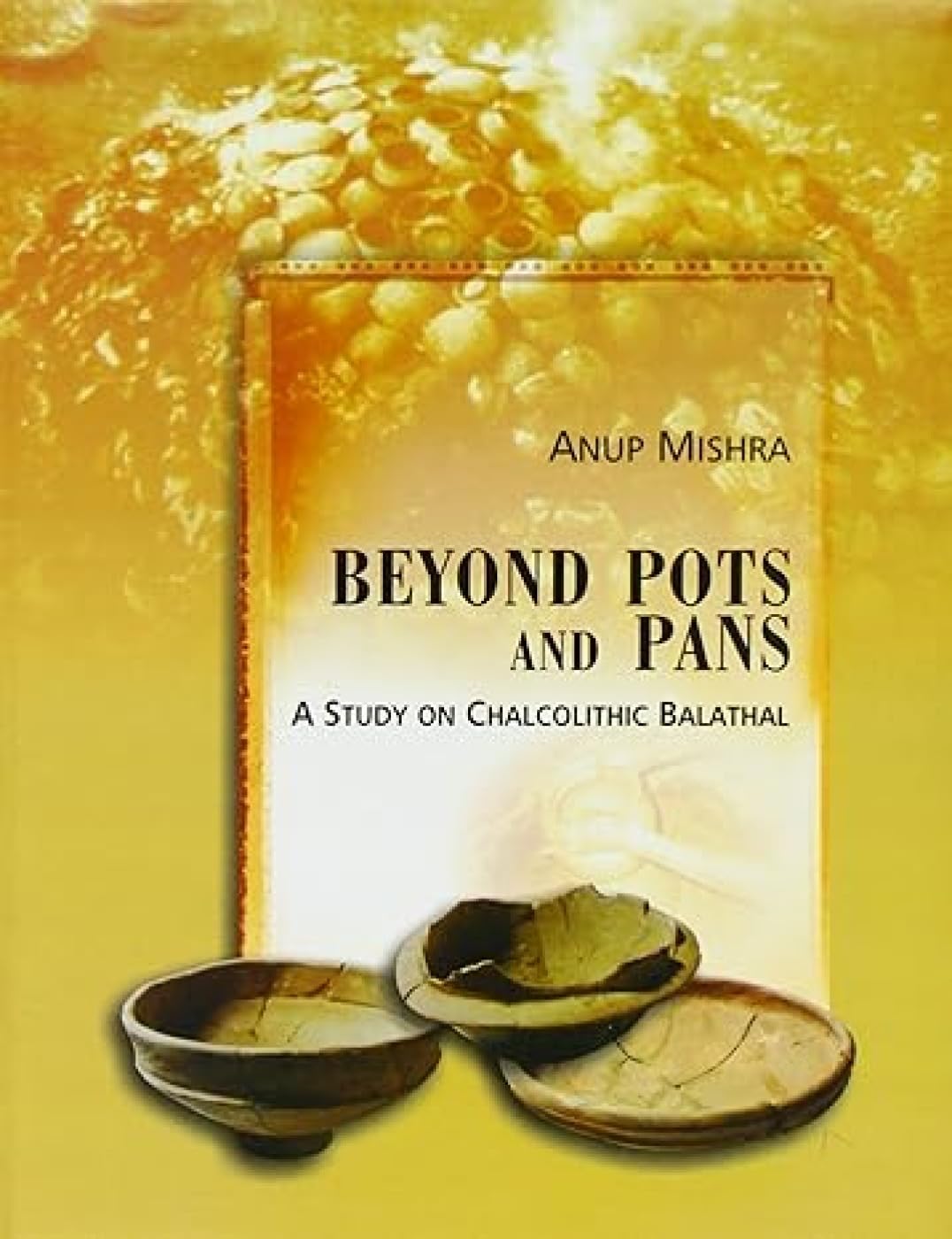 BEYOND POTS AND PANS: A Study on Chalcolithic Balathal  - Hardcover