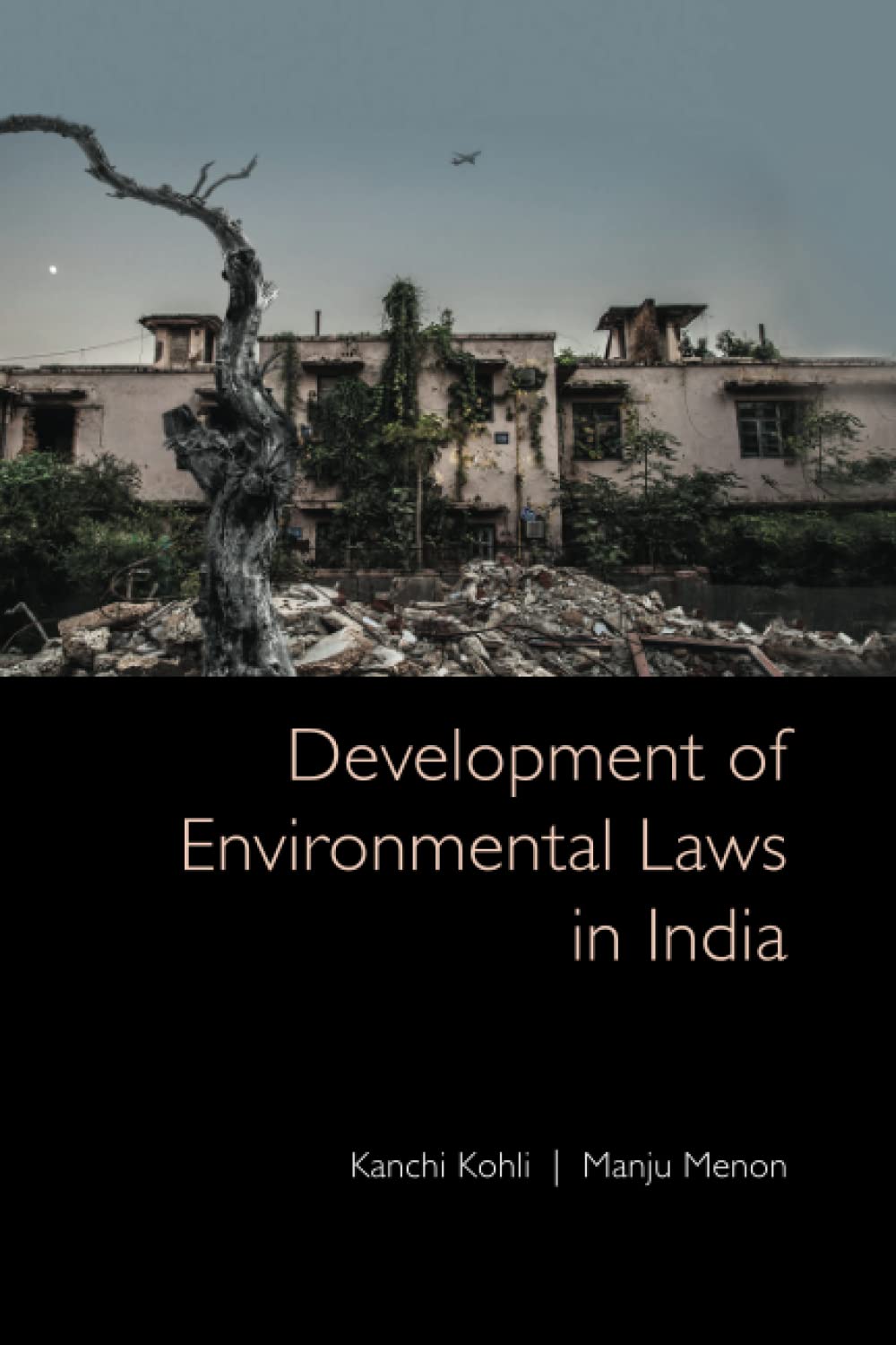 DEVELOPMENT OF ENVIRONMETAL LAWS IN INDIA