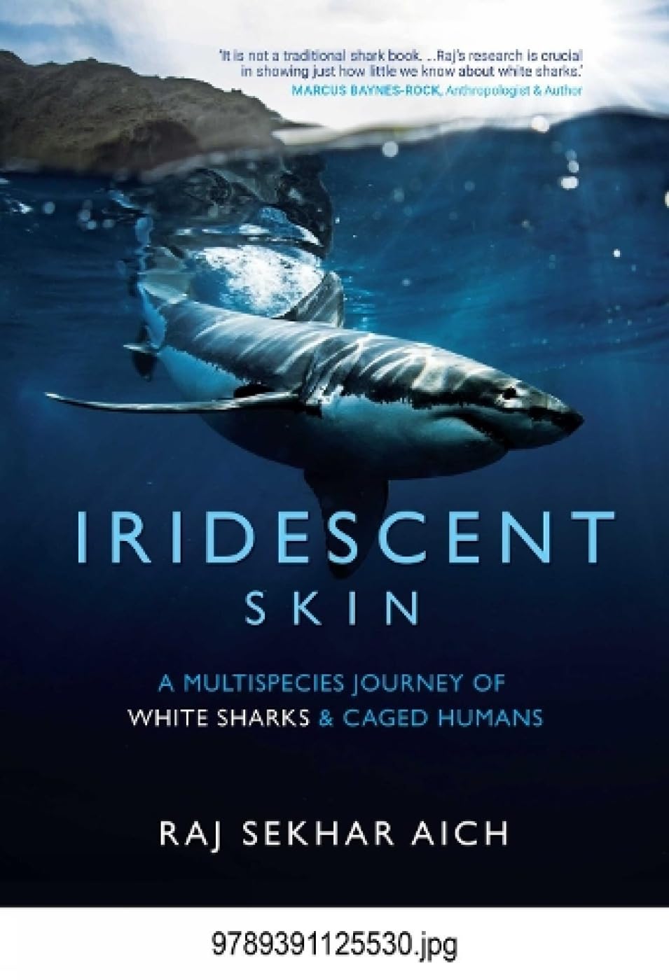 Iridescent skin; A Multispecies journey of White Sharks & Caged Humans