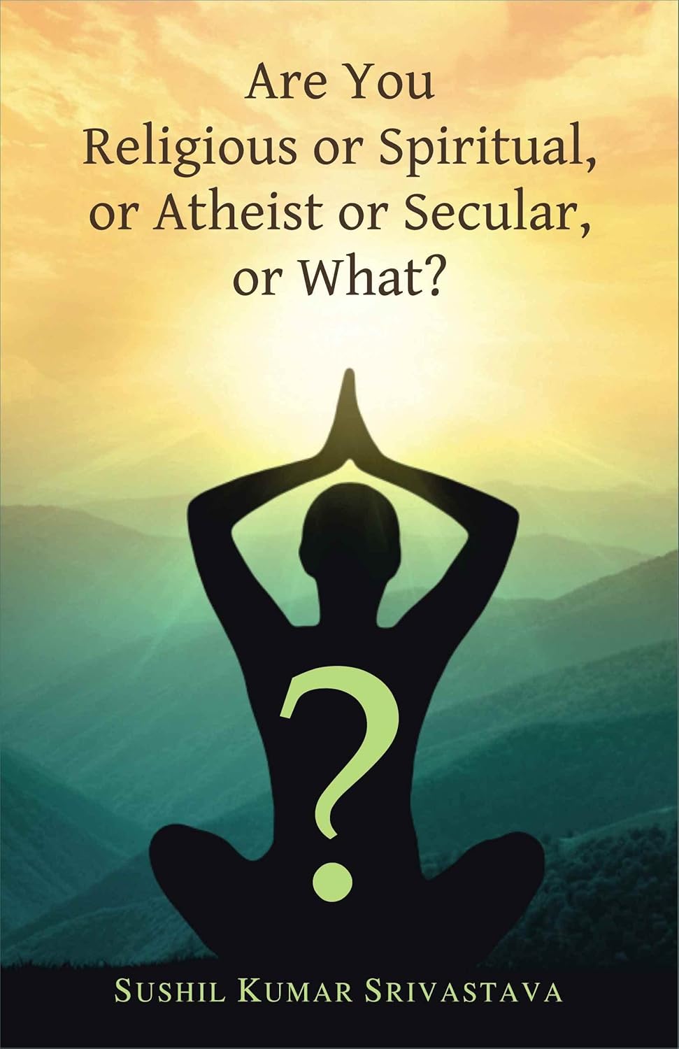 Are You Religious or Spiritual, or Atheist or Secular, or What? (Paperback)