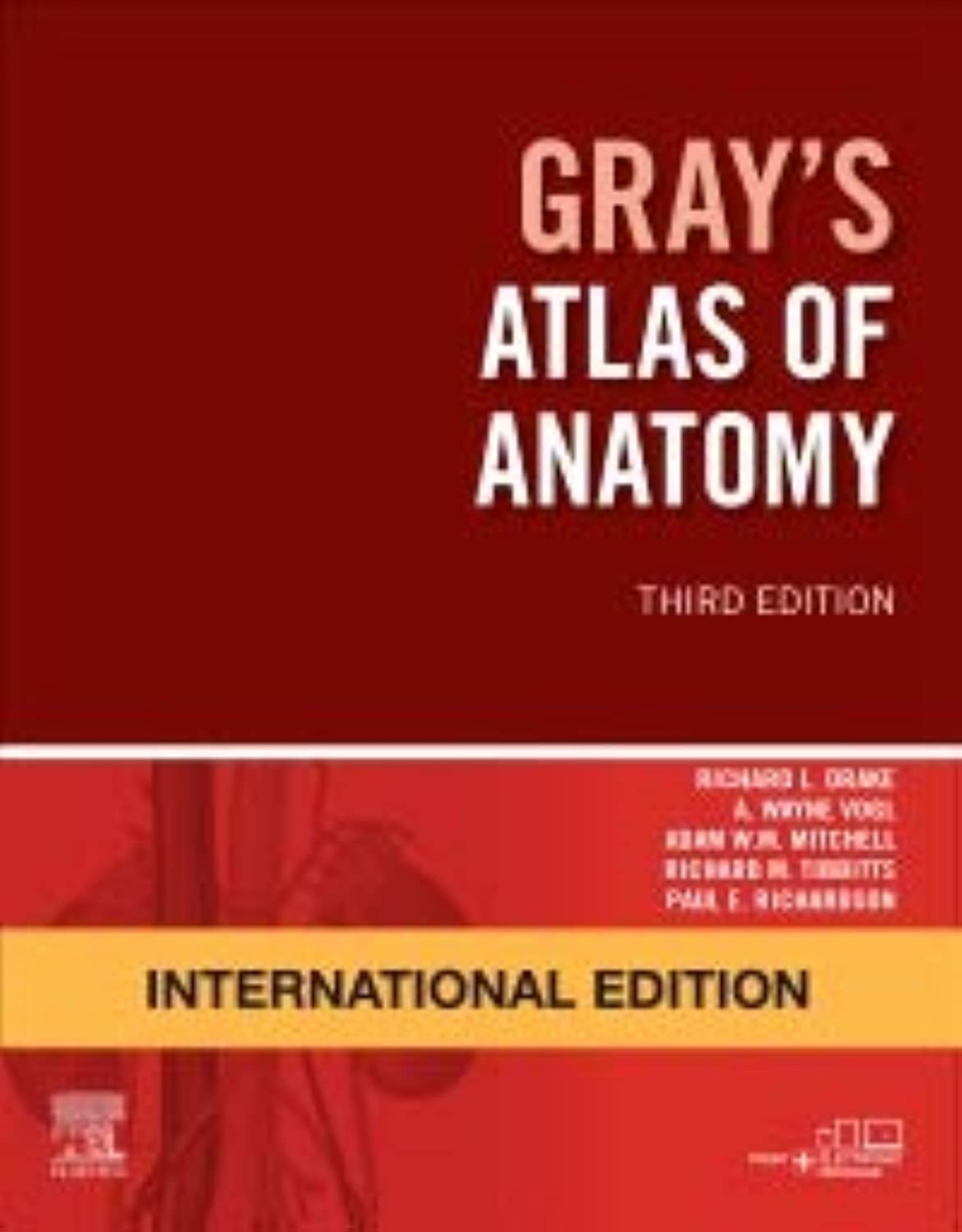 Grays Atlas of Anatomy, IE-3E