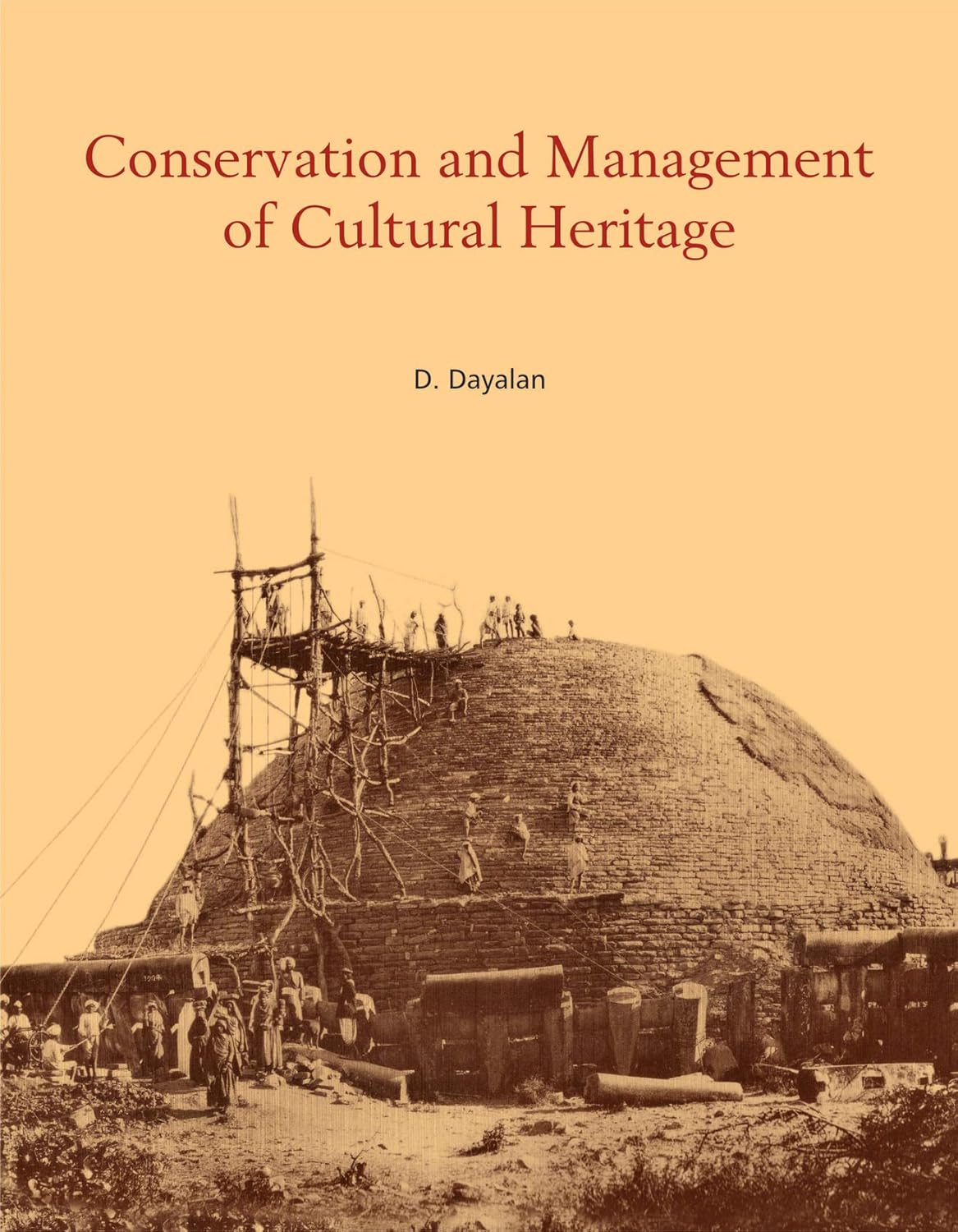 CONSERVATION AND MANAGEMENT OF CULTURAL HERITAGE - Hardcover
