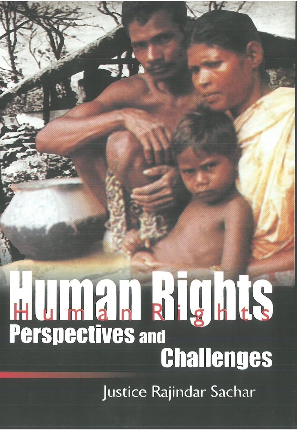 Human Rights Perspectives and Challenges