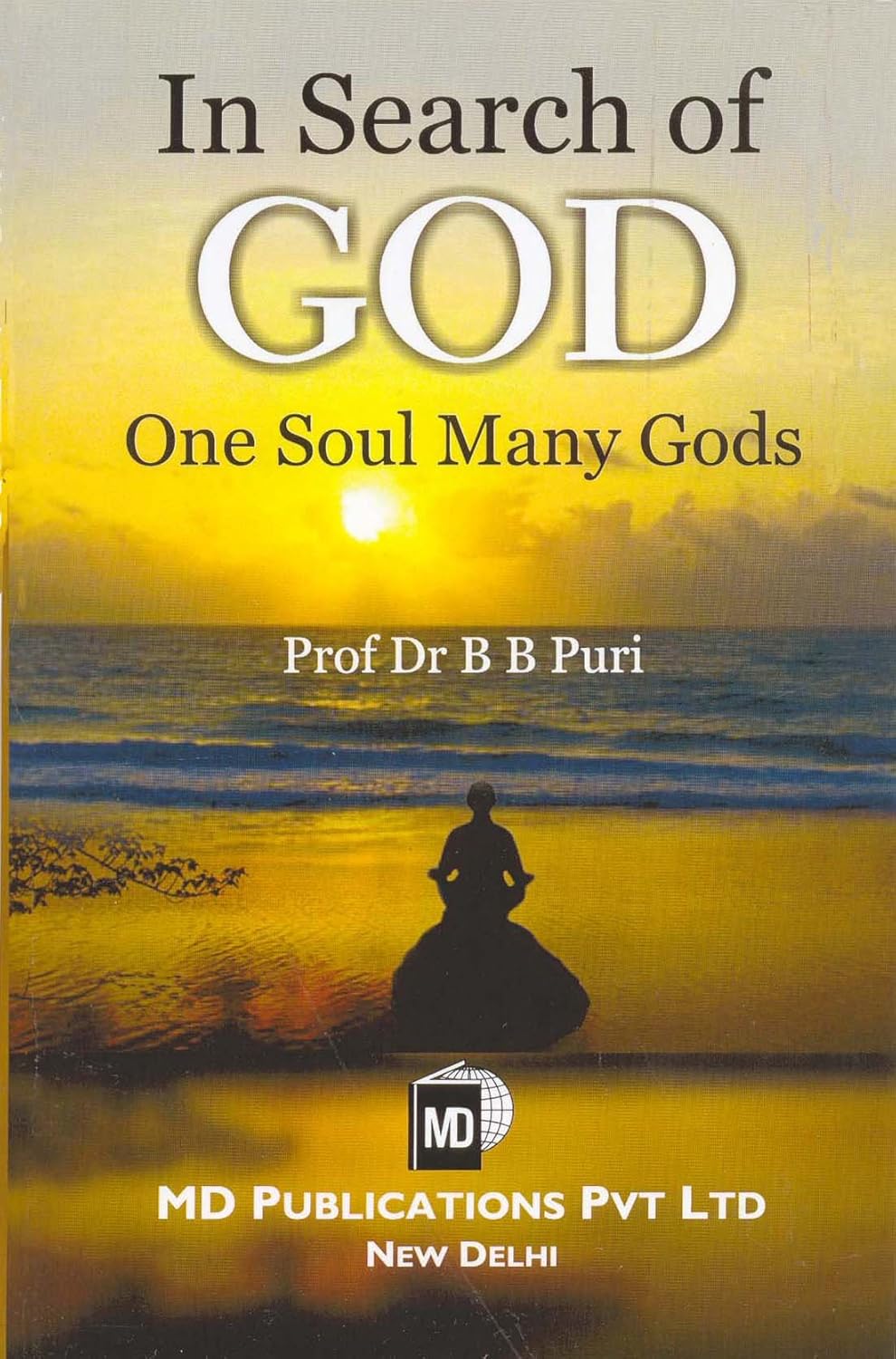 IN SEARCH OF GOD ONE SOUL MANY GODS  - Paperback