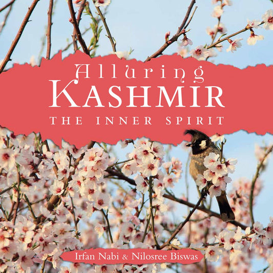 Alluring Kashmir The Inner Spirit