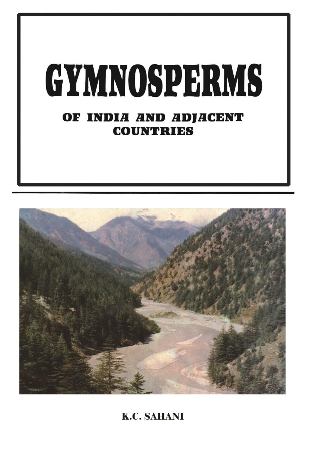 Gymnosperms of India and Adjacent Countries