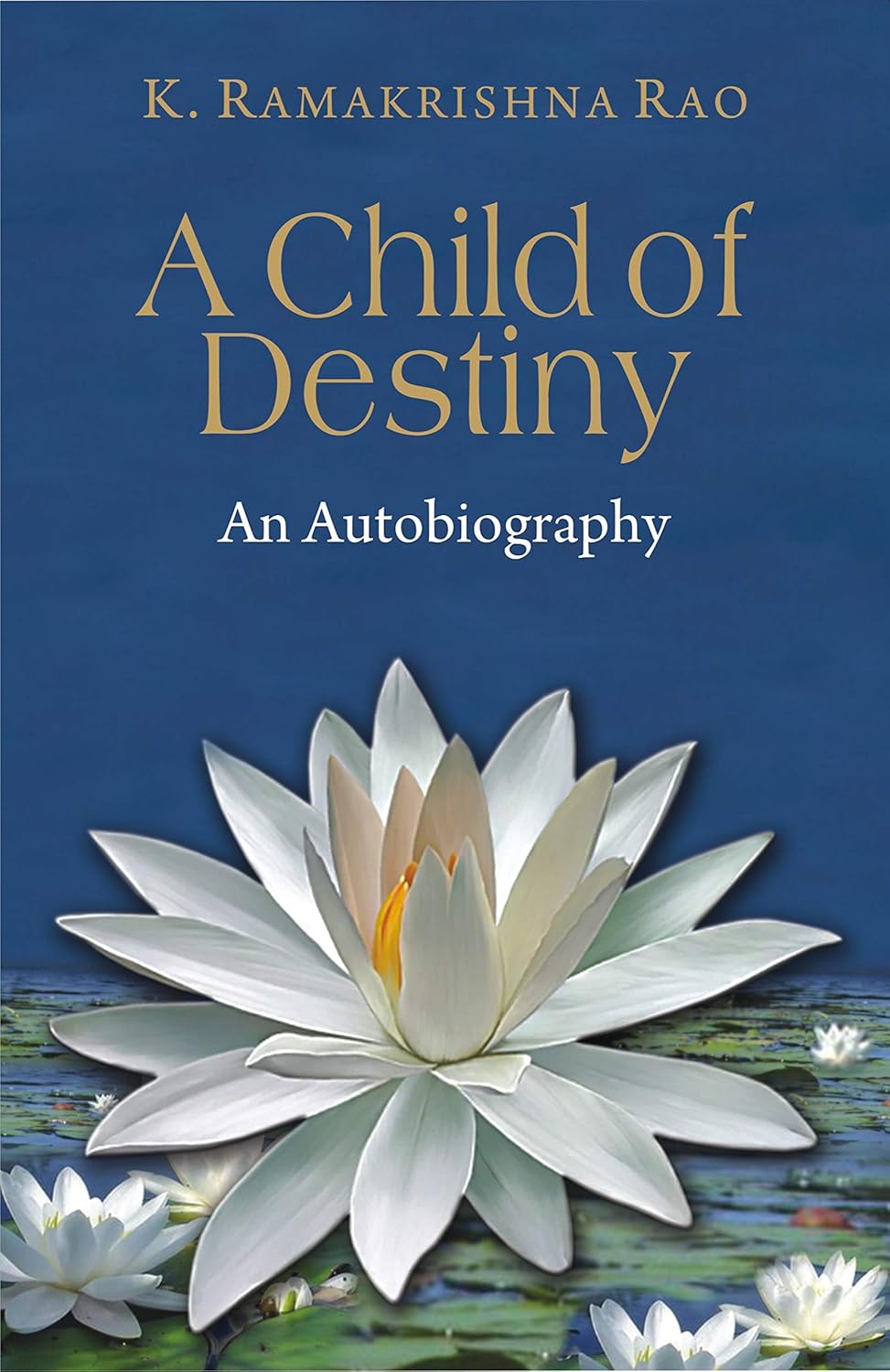 A Child of Destiny -Hardcover