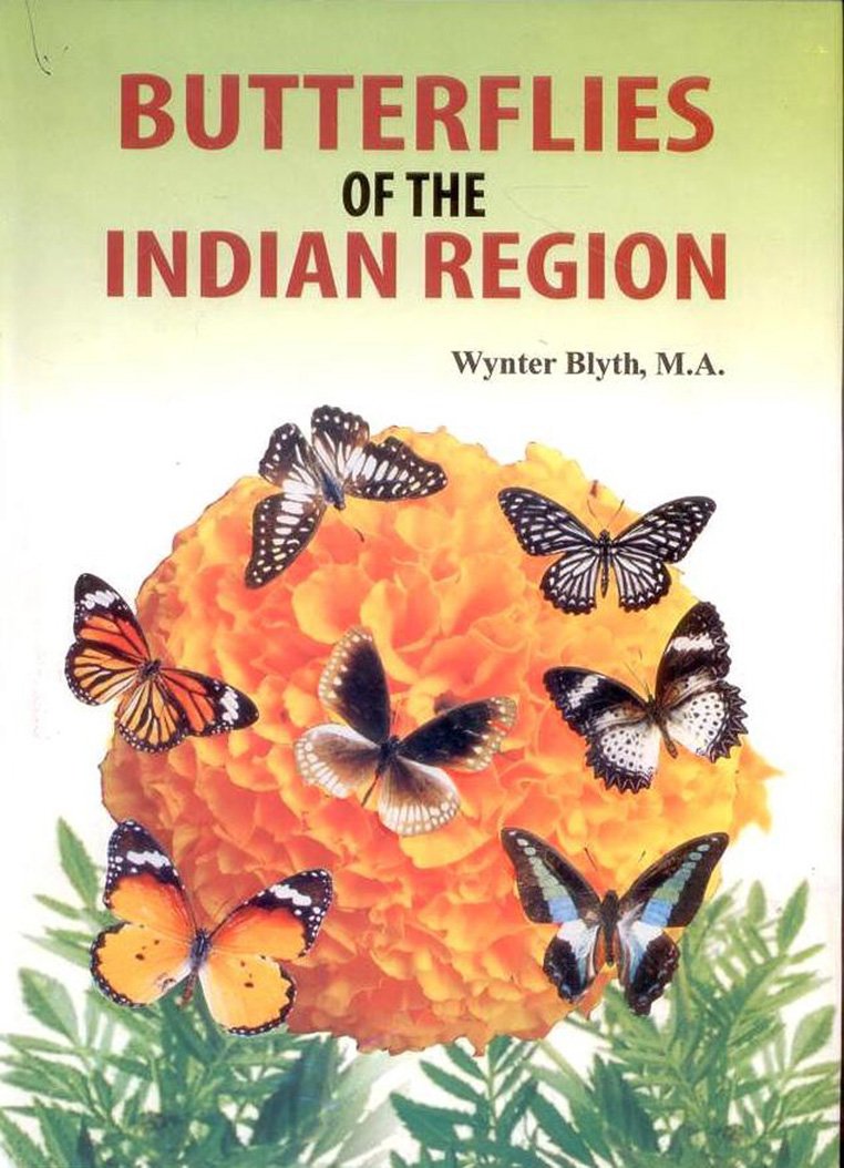 Butterflies of the Indian Region