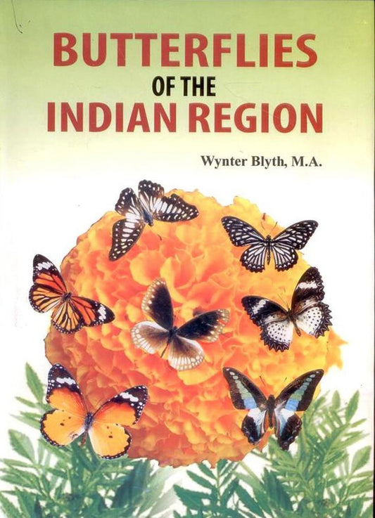 Butterflies of the Indian Region