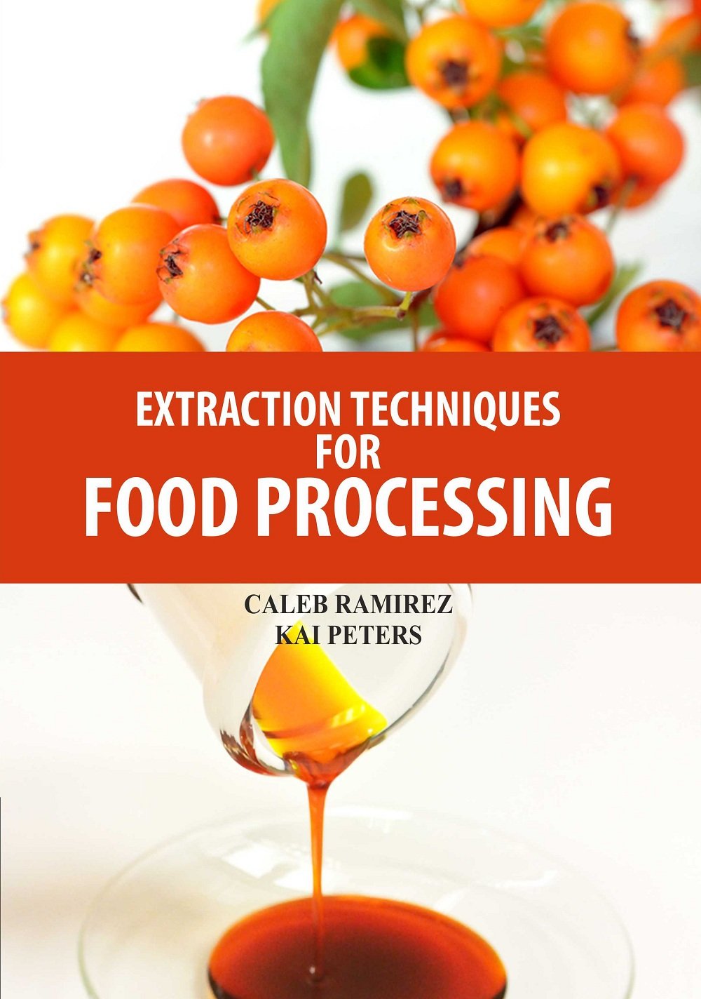 Extraction Techniques for Food Processing