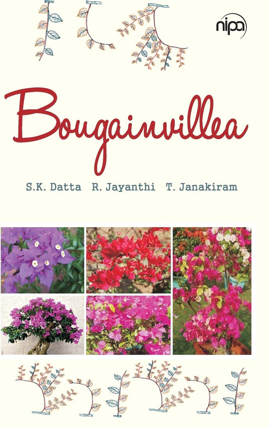 Bougainvillea