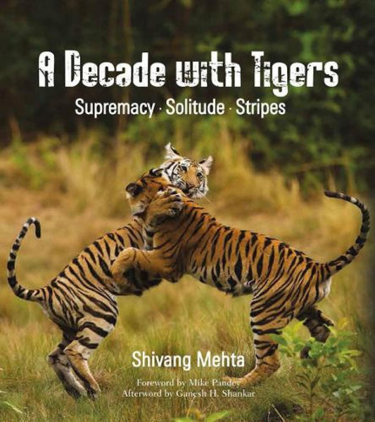 Decade with Tigers: Supremacy Solitude Stripes