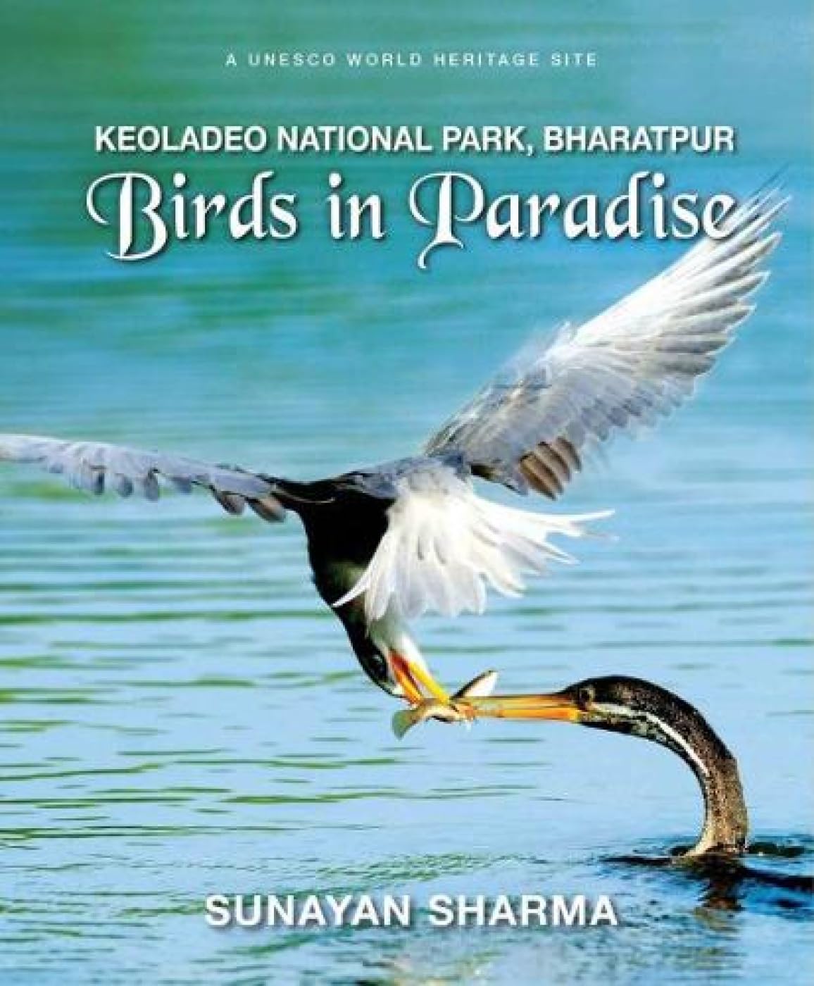 Keoladeo National Park Bharatpur: Birds in Paradise