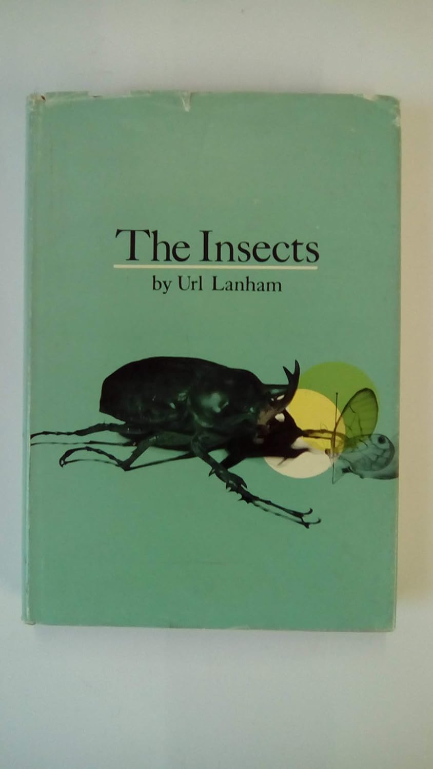 Insects