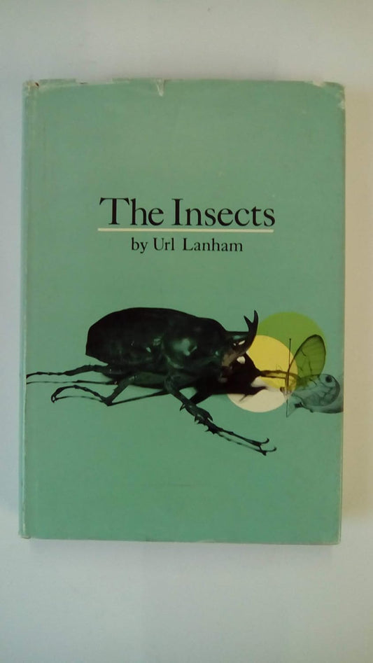 Insects