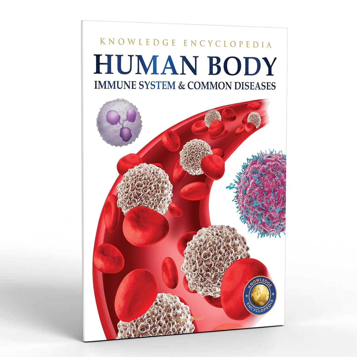 Human Body - Immune System And Common Diseases: Knowledge Encyclopedia For Children