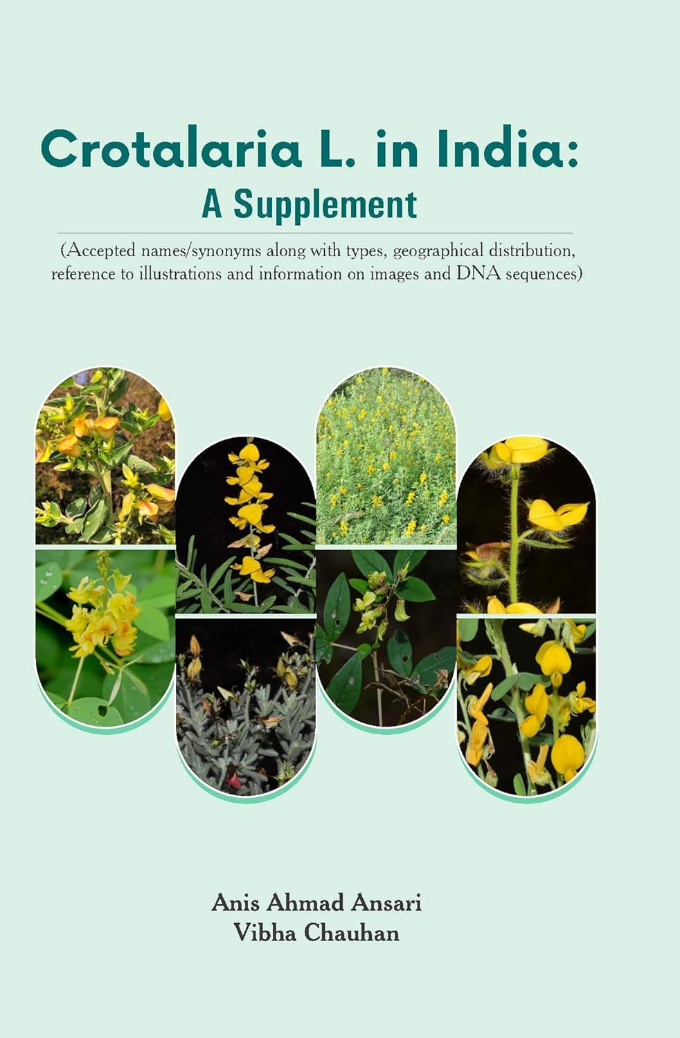 Crotalaria L. in India: A Supplement