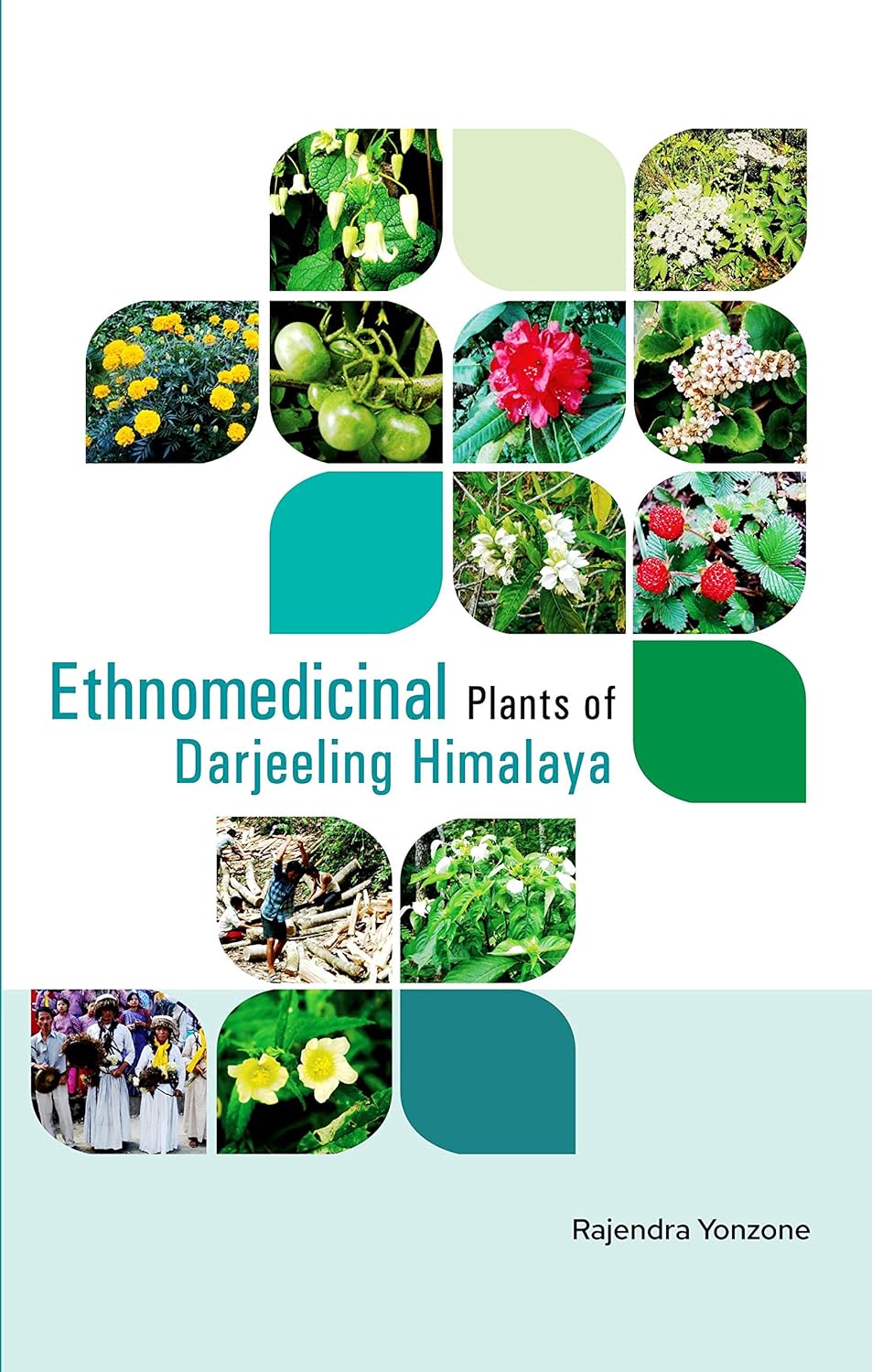 Ethnomedicinal Plants of Darjeeling Himalaya
