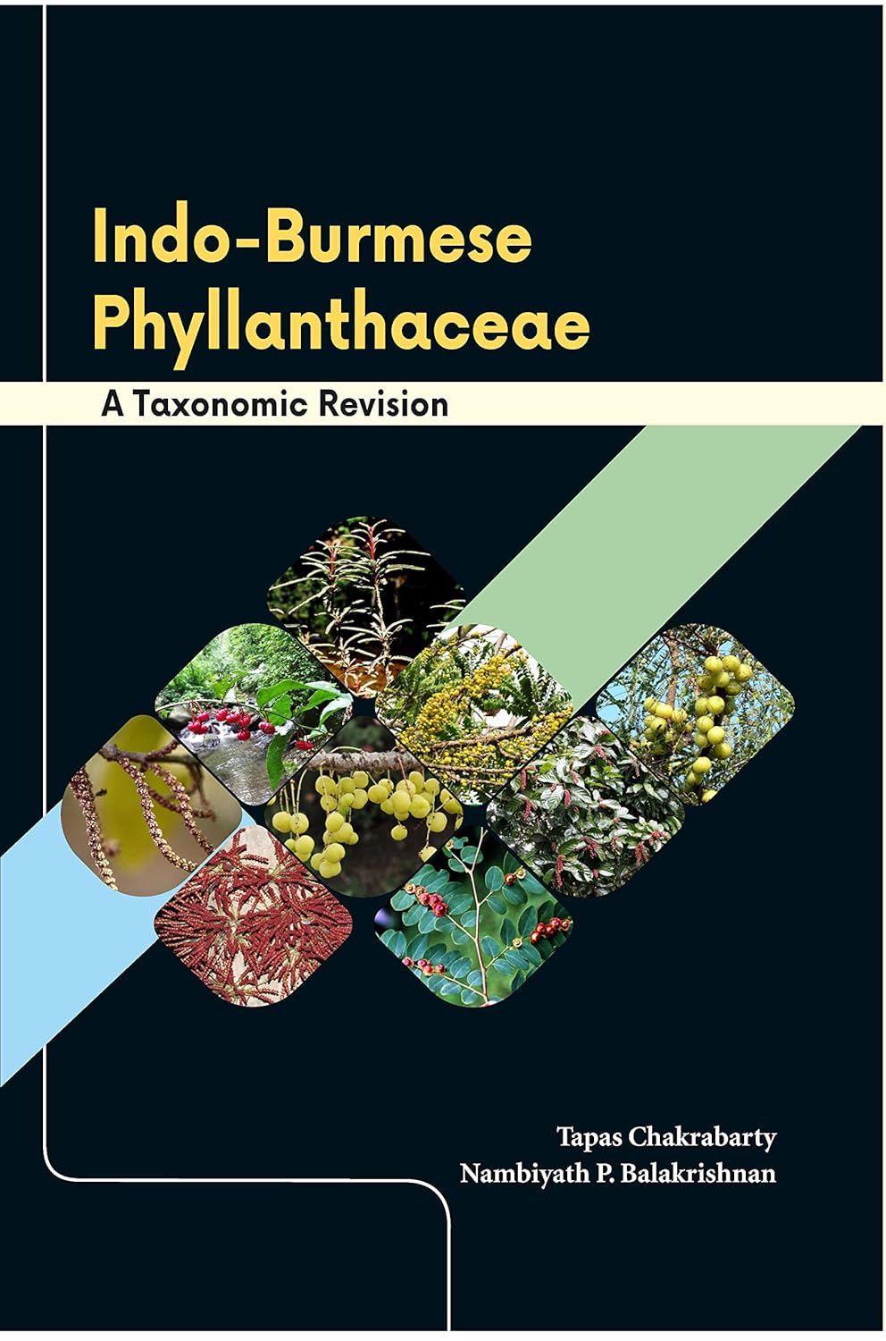 Indo Burmese Phyllanthaceae: A Taxonomic Revision