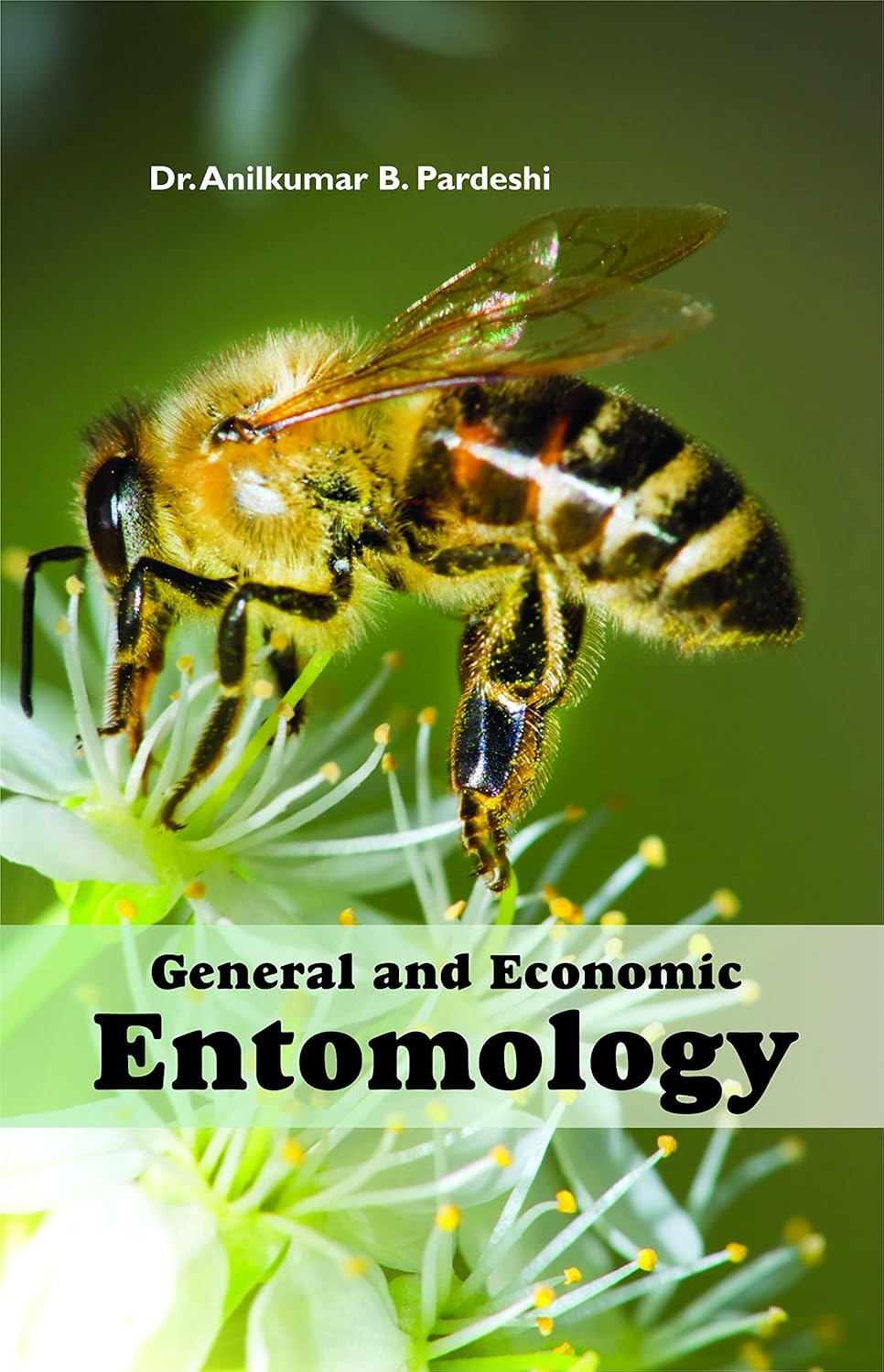 General and Economic Entomology